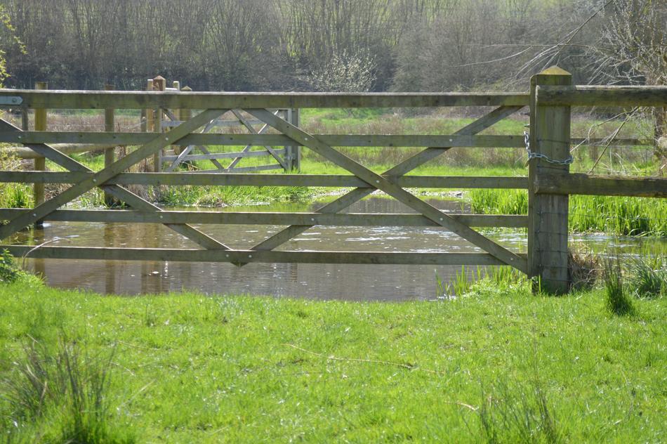 Fence Grass Nature