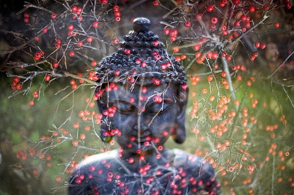 Buddha Leaf Religion
