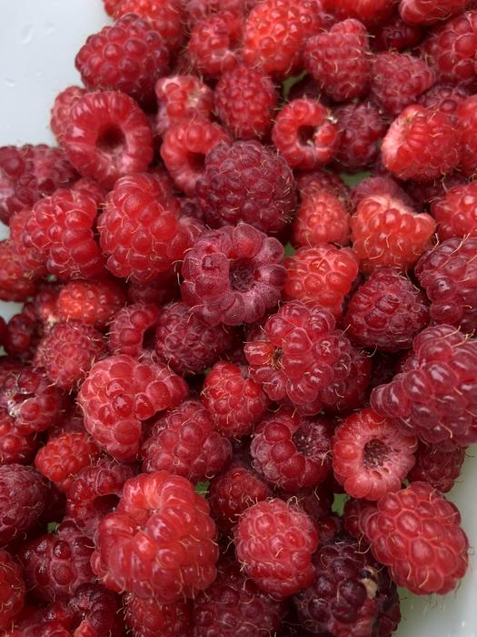 Raspberry Framboesa Nature