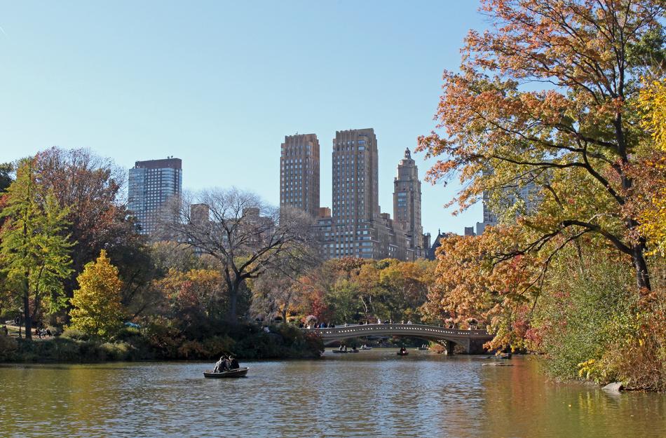 Central Park Garden New