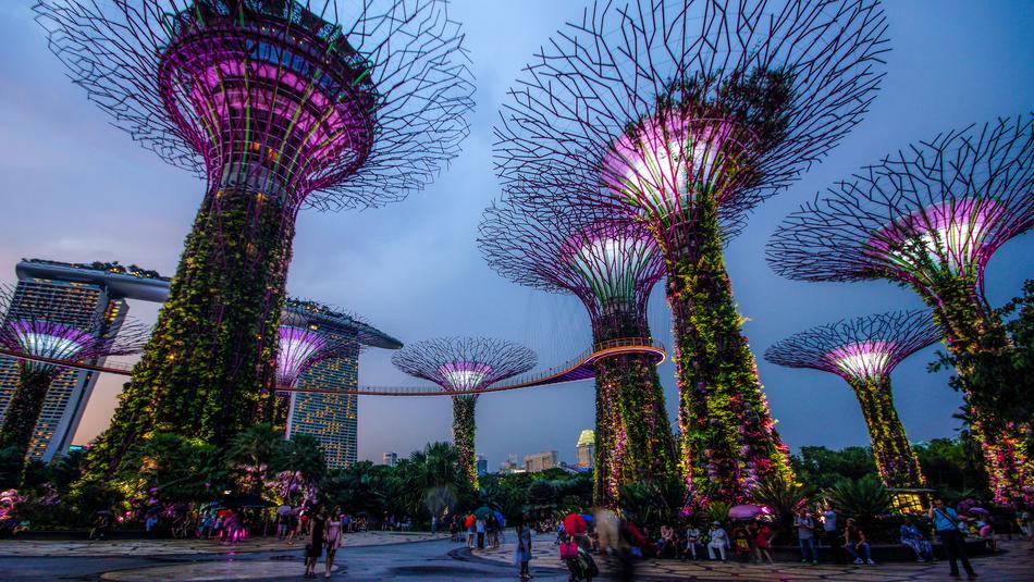 Garden By The Bay Singapore Night
