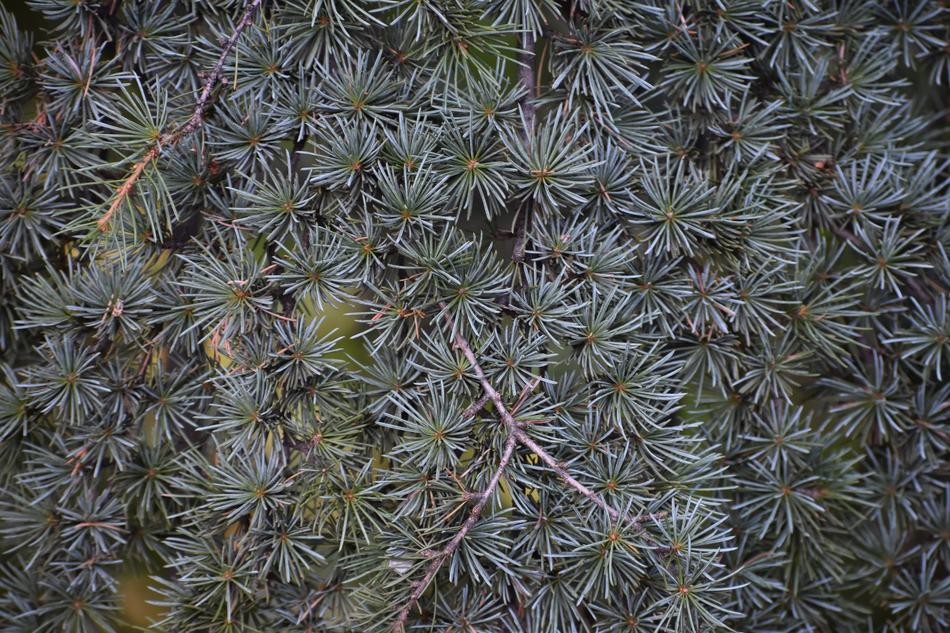 Background Texture Design