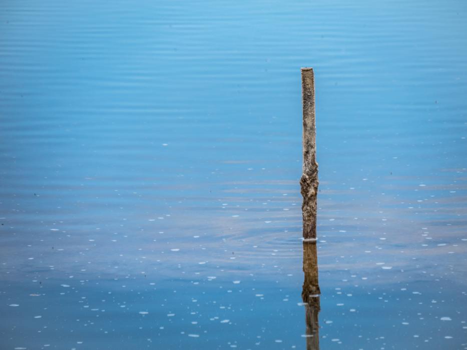 one stick in the lake