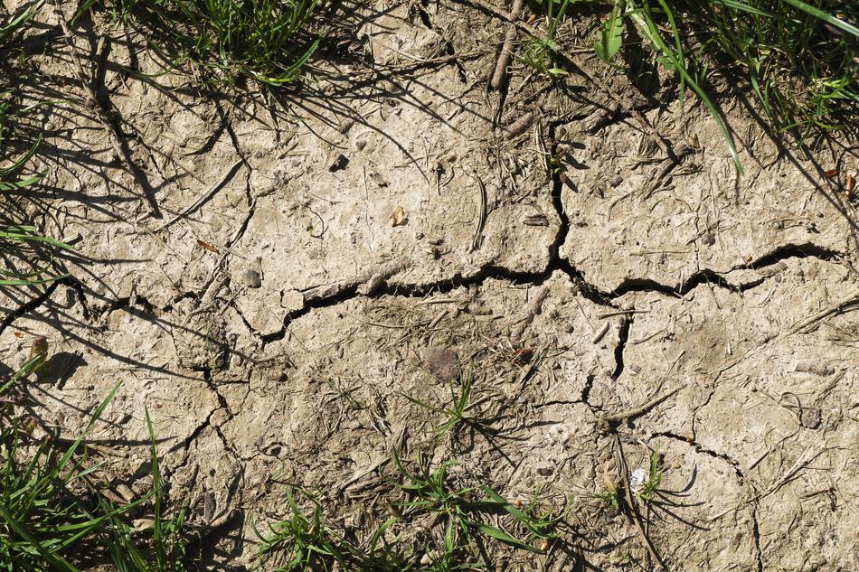 Arable Ground Halme