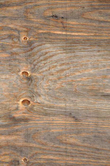 Tree Background Texture