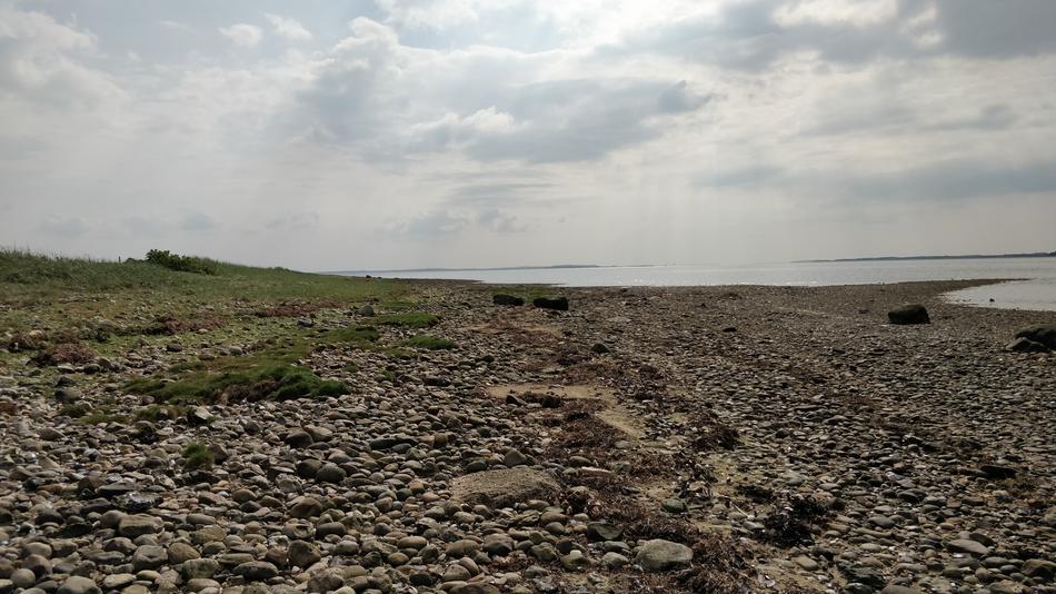Beach Nature