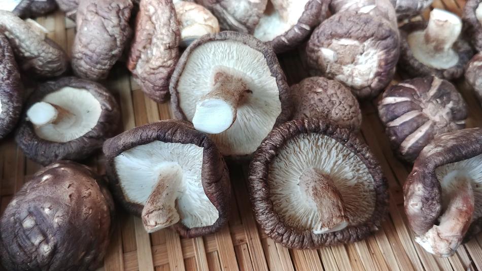 Fresh wild mushrooms