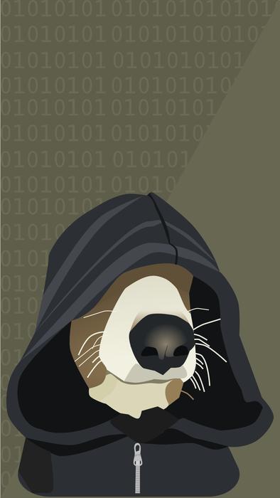 funny dog in the hood