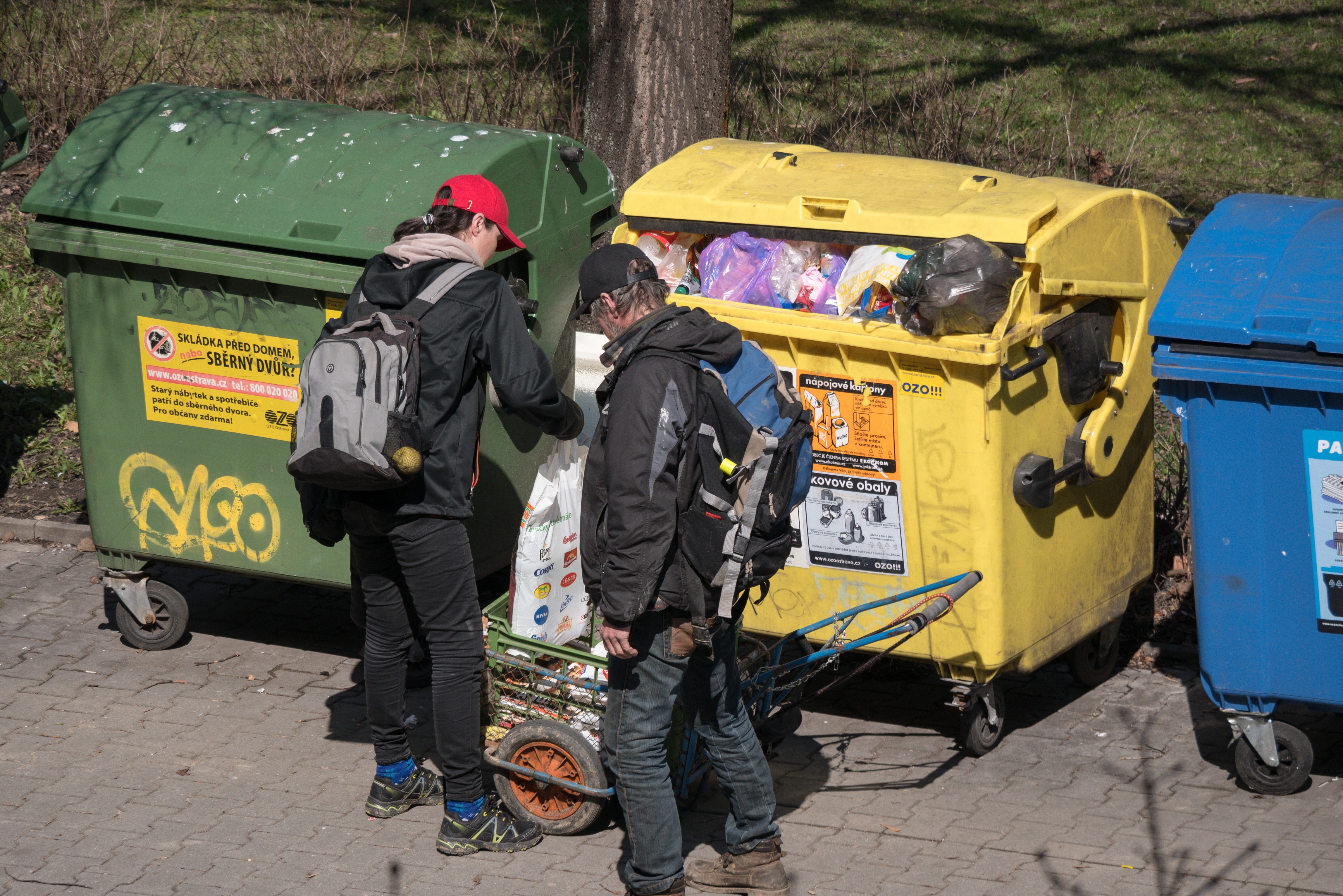 Стоимость Мусора С Человека В 2025