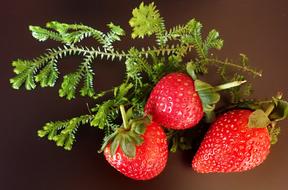 Three juicy strawberries