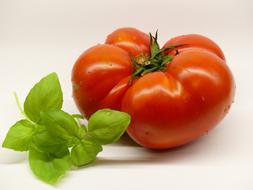 large tomato with herbs