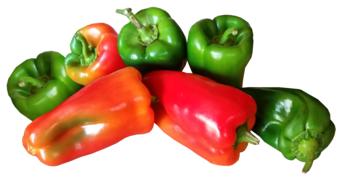 Colorful beautiful peppers