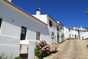 Portugal Alentejo Summer