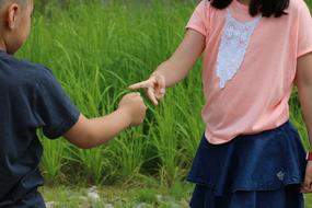 kids playing grass view