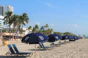 Beach Vacation Umbrellas