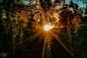 Sunset Sol Landscape