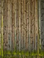 Wooden Boards Gate