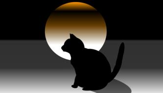 cat dark landscape fantasy gloomy