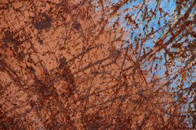 Abstract Model Tree