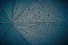 Rain Screen Umbrella