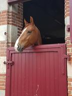 Door Barn Wood