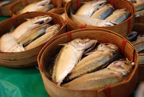boiled fish in a bowl