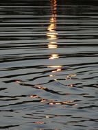 Water Reflection Background