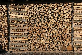 Growing Stock Firewood Holzstapel