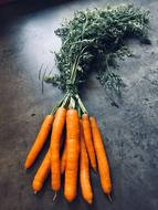 fresh carrots on the table