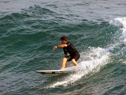 Surf Surfer Wave