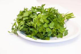 fresh green parsley