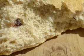 Fresh delicious bread with raisins