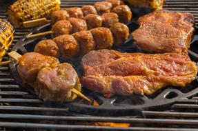 hot delicious meat