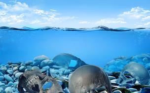 Sea Ocean Skull