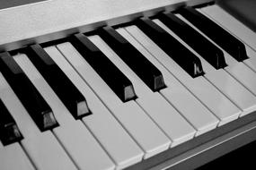 Music Keys Keyboard Black And white