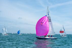 Yacht Sailing Sail