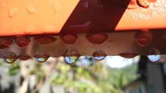 drops of water on the fence