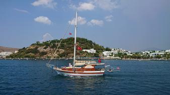 Summer Turkey Water