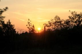 Sunset Sun