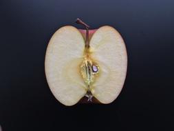 half an apple on the table