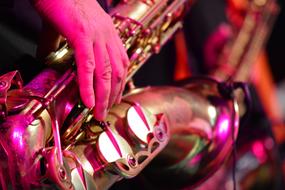 hands of a professional musician on saxophone