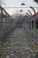German Death Camp Auschwitz