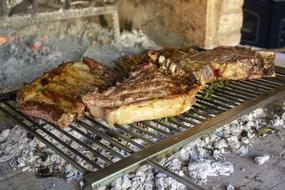delicious juicy grilled meat