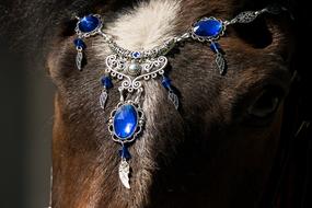 decoration with blue stones on a horse