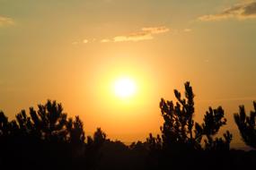 Sunset Nature Horizon