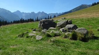 Tatry Rusinowa Logs Mountains