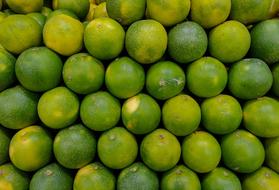 Fresh green fruits
