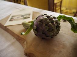 delicious fresh artichoke