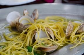 spaghetti with molluscs