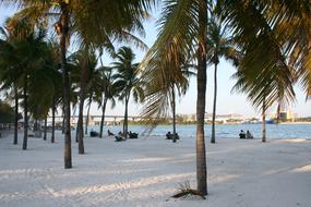 Miami Beach Holiday